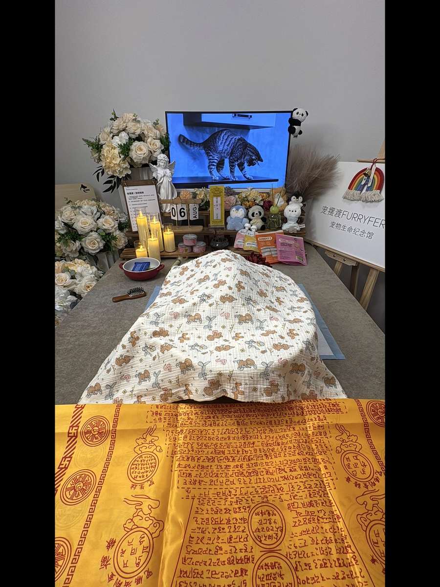 西安宠物告别厅
